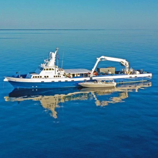 signal-2022-03-29-2145151